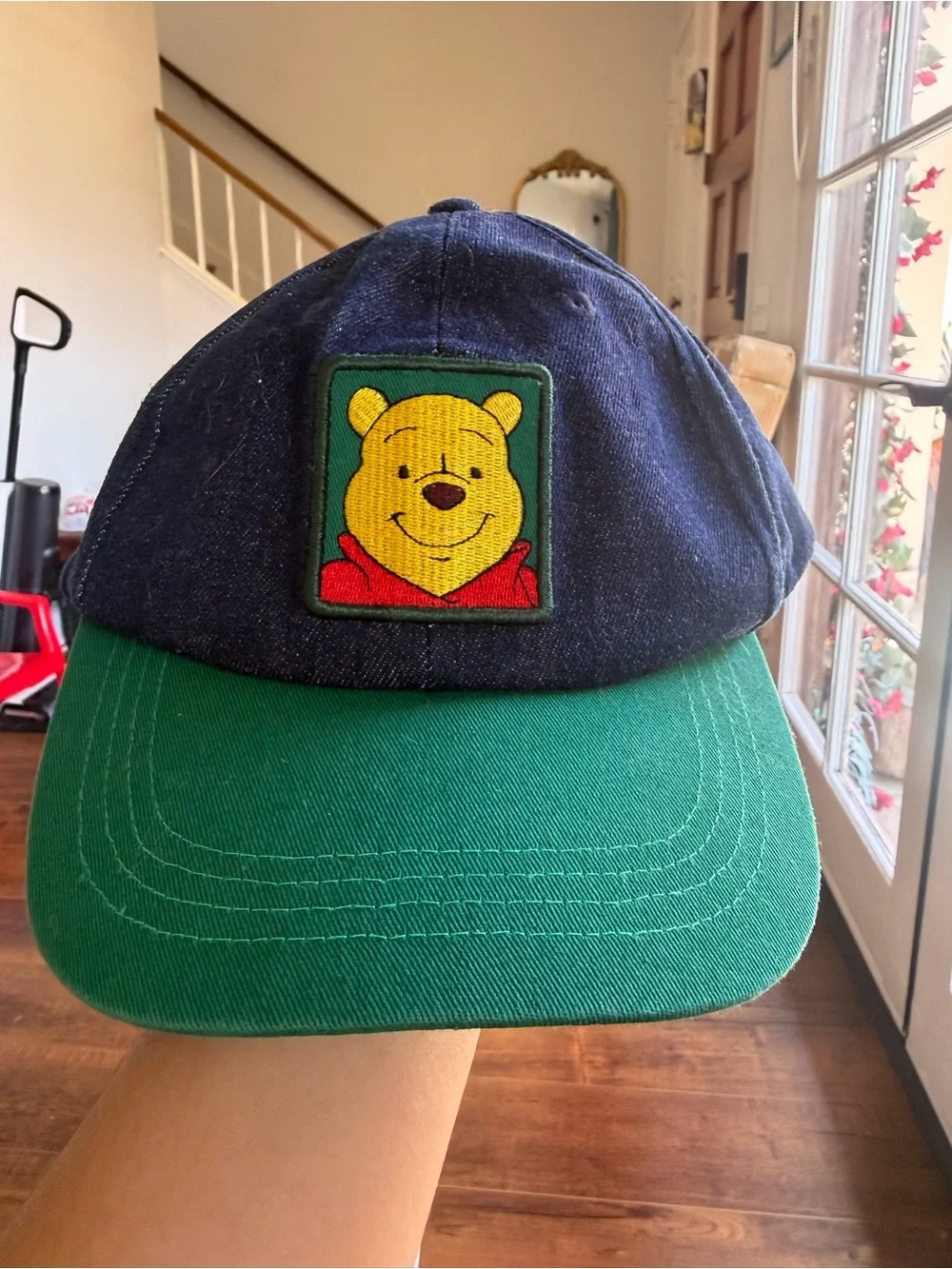 disneyland winnie pooh